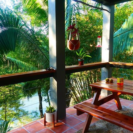 Riverhill Hideaway Monkey Fall Esterno foto