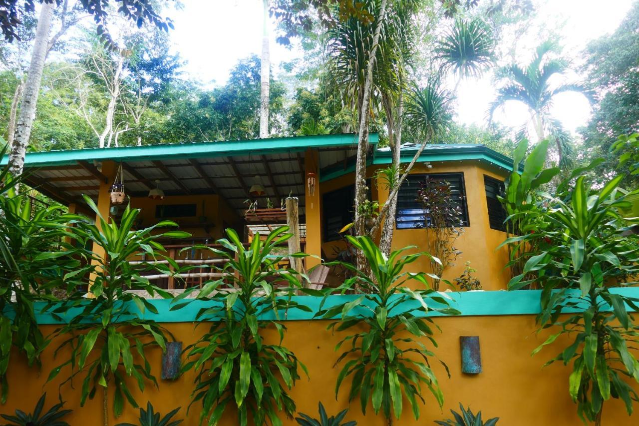 Riverhill Hideaway Monkey Fall Esterno foto