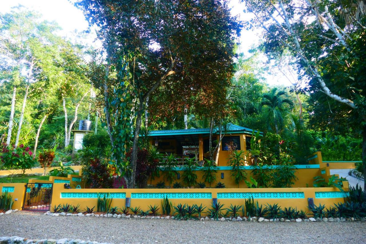 Riverhill Hideaway Monkey Fall Esterno foto