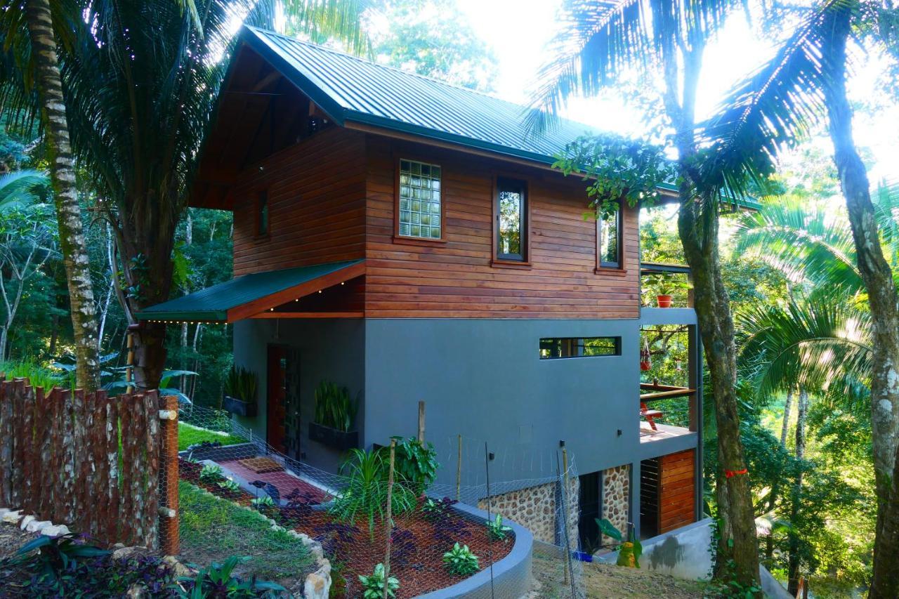 Riverhill Hideaway Monkey Fall Esterno foto