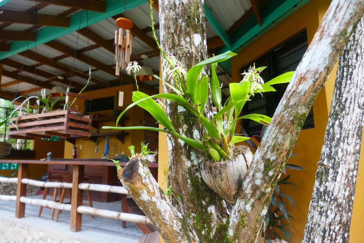 Riverhill Hideaway Monkey Fall Esterno foto