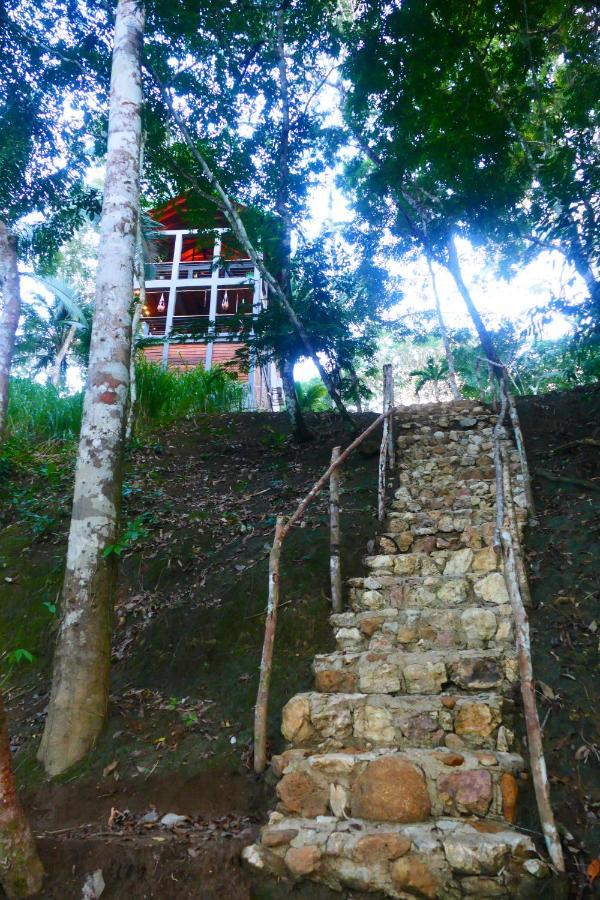 Riverhill Hideaway Monkey Fall Esterno foto