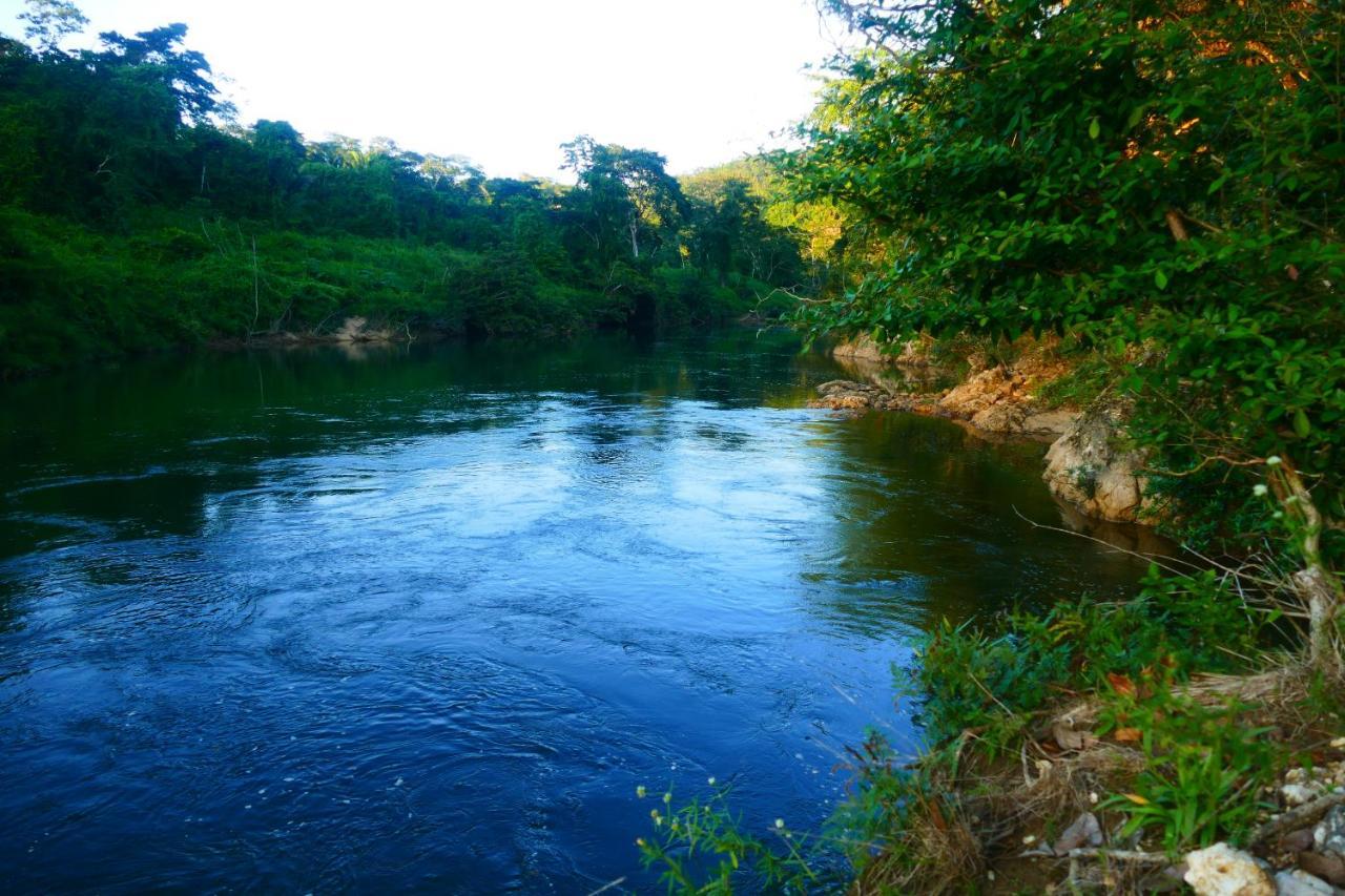 Riverhill Hideaway Monkey Fall Esterno foto