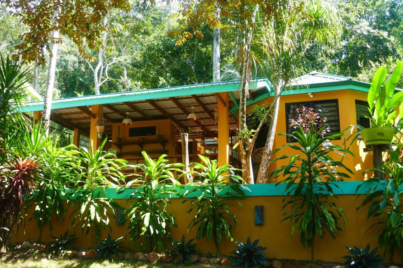 Riverhill Hideaway Monkey Fall Esterno foto