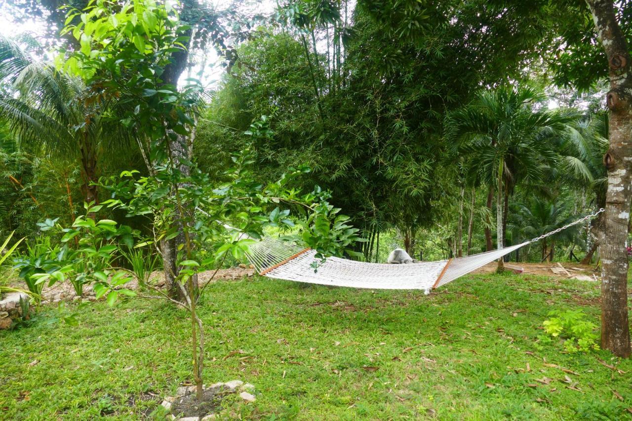 Riverhill Hideaway Monkey Fall Esterno foto
