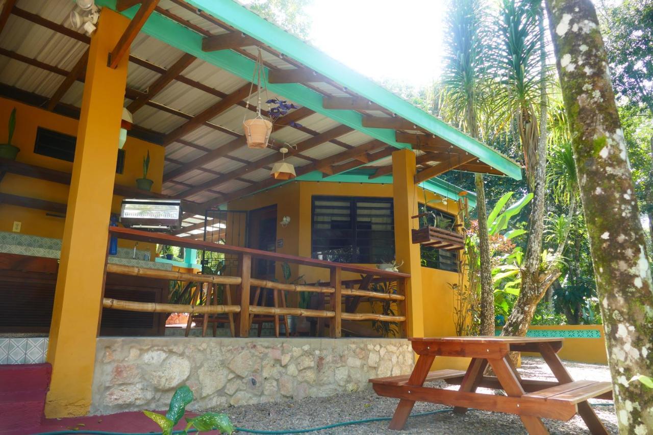 Riverhill Hideaway Monkey Fall Esterno foto