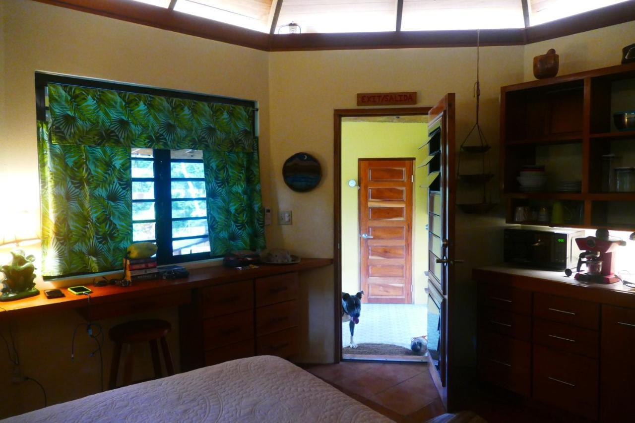 Riverhill Hideaway Monkey Fall Esterno foto