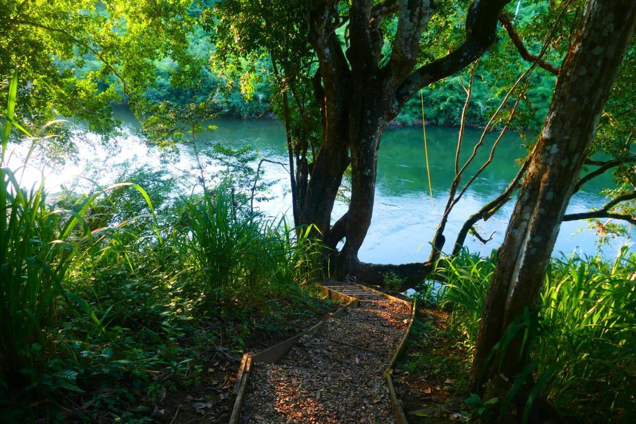 Riverhill Hideaway Monkey Fall Esterno foto