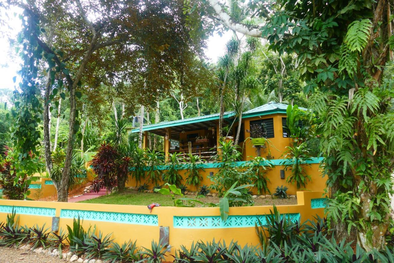 Riverhill Hideaway Monkey Fall Esterno foto
