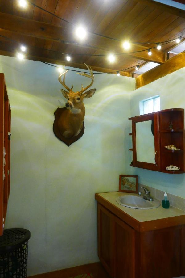 Riverhill Hideaway Monkey Fall Esterno foto