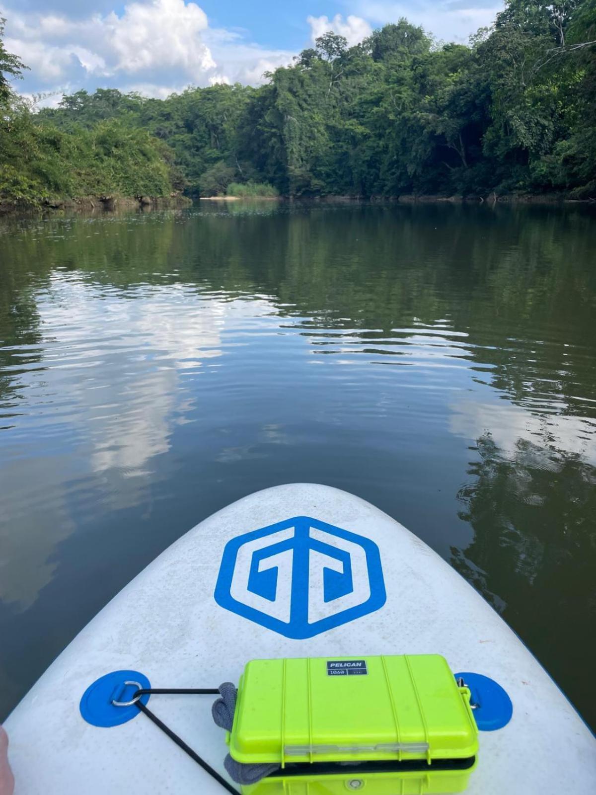 Riverhill Hideaway Monkey Fall Esterno foto